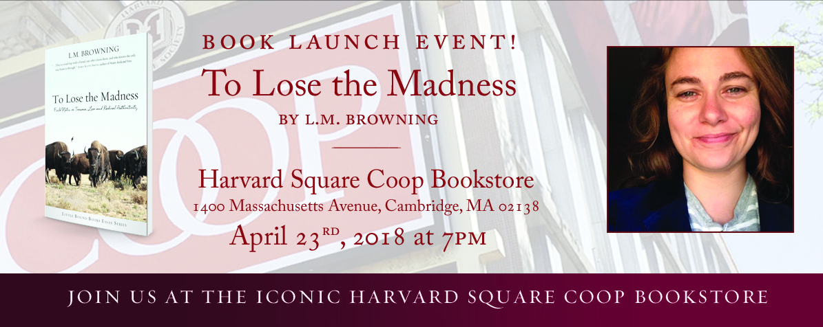 To Lose the Madness | The Book Launch at Harvard Coop | The Wild Wolfe